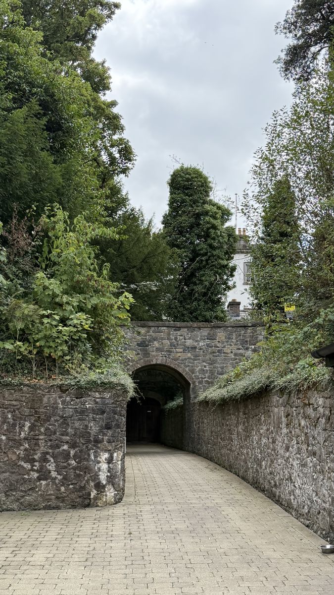 Camino de acceso a través de un túnel de piedra hacia Oldbridge House, rodeado de vegetación