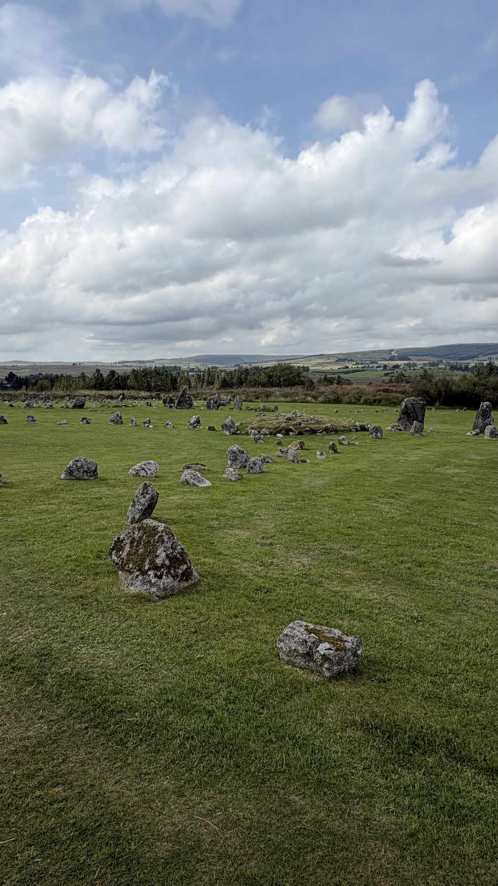 Varias hileras de piedras alineadas de Beaghmore vistas desde el suelo