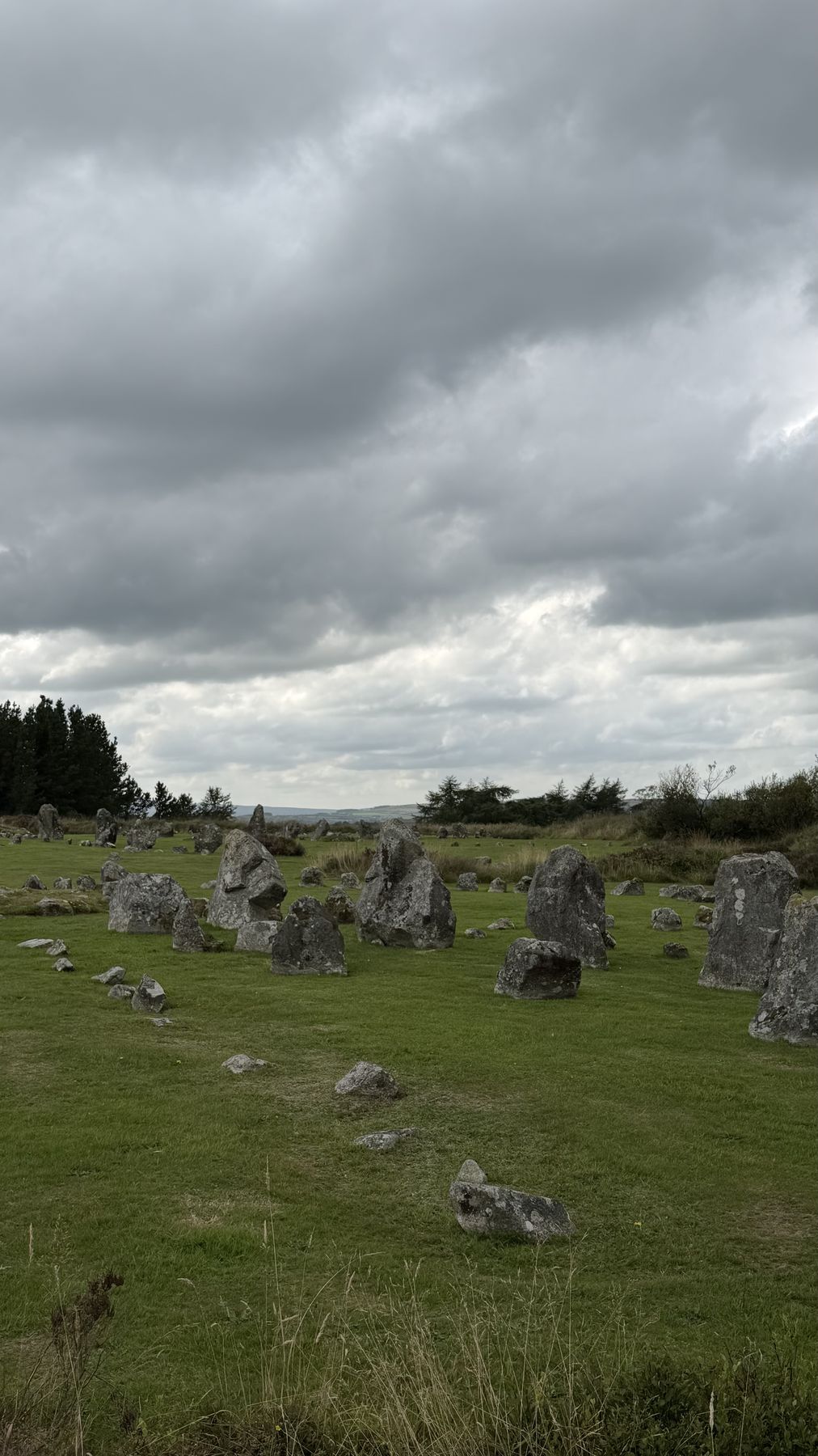Piedras erguidas de Beaghmore sobre el terreno de turbera