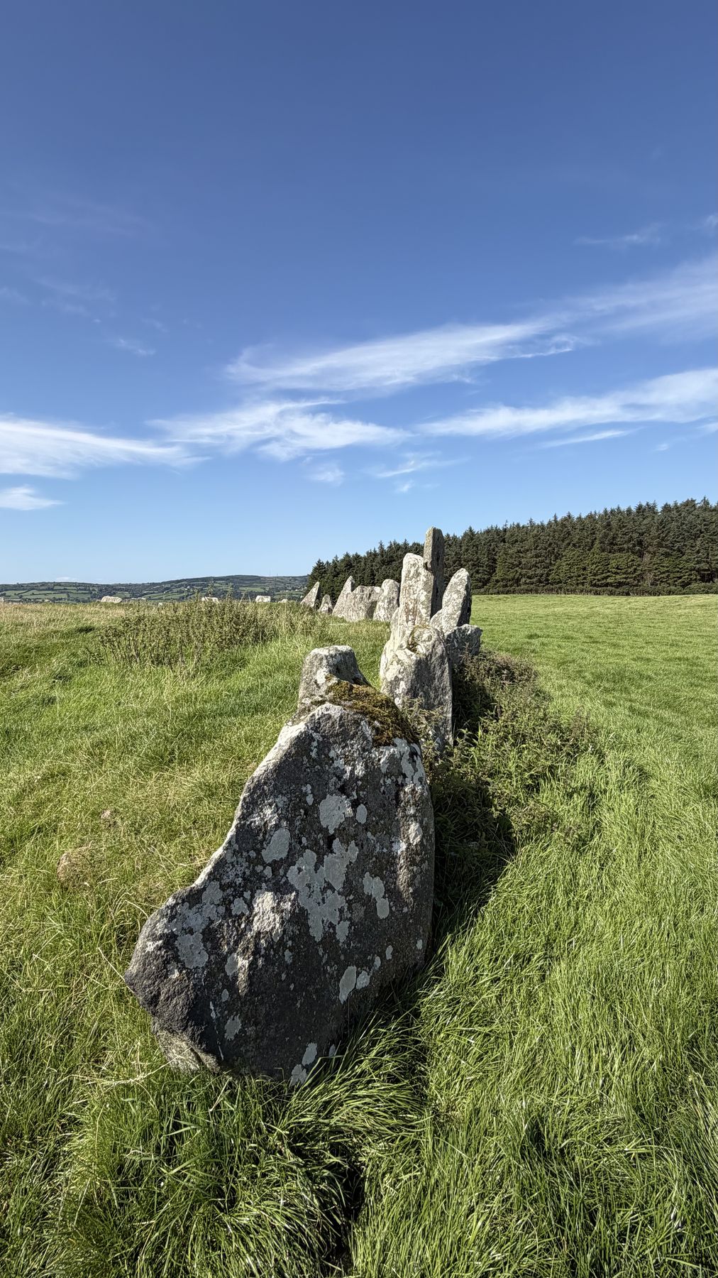 Piedra del círculo de Beltany cubierta de liquen