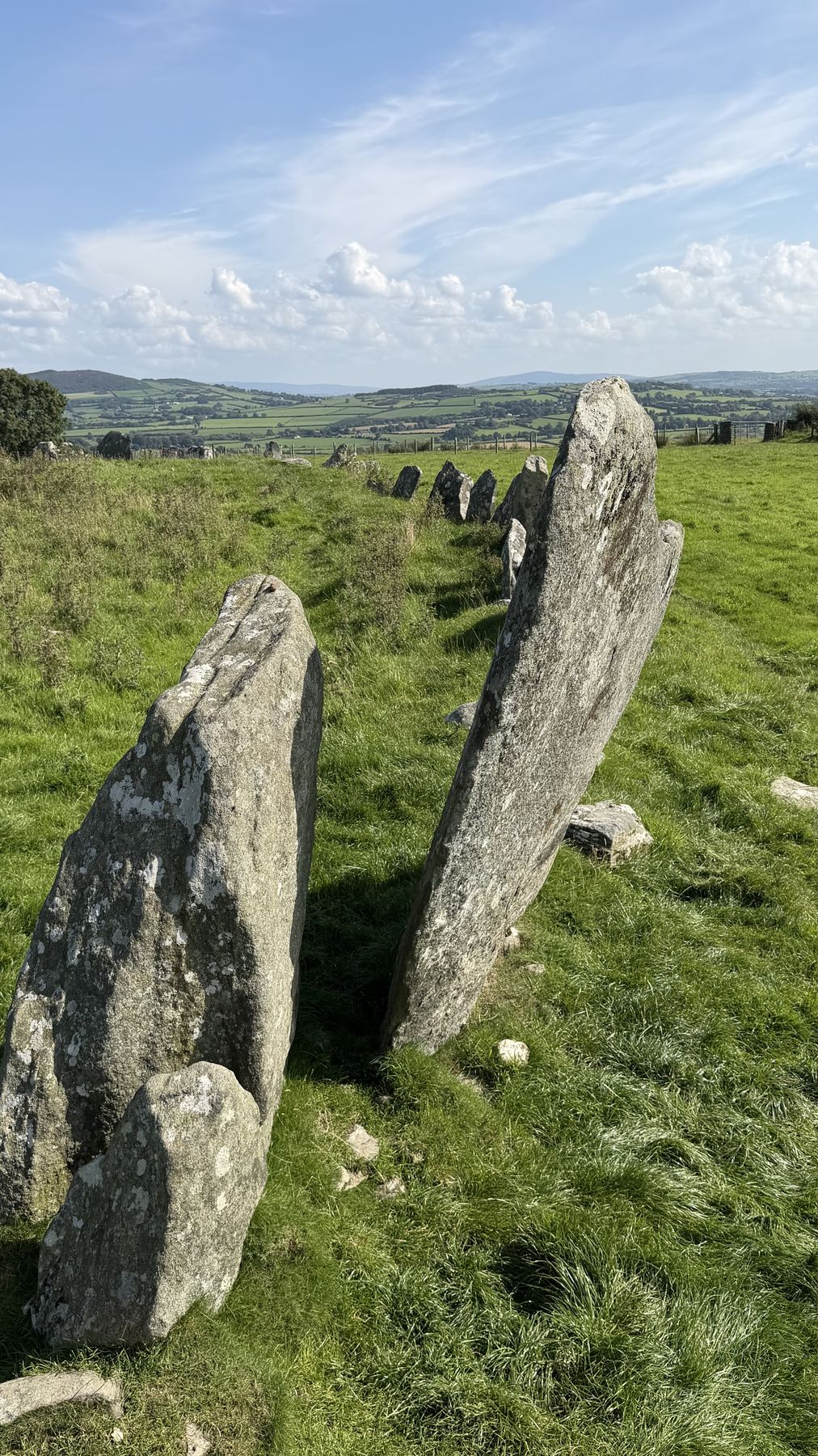 Dos de las piedras más altas del círculo de Beltany