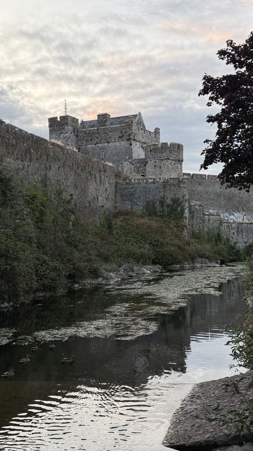 Vista del Castillo de Cahir desde la orilla del río Suir