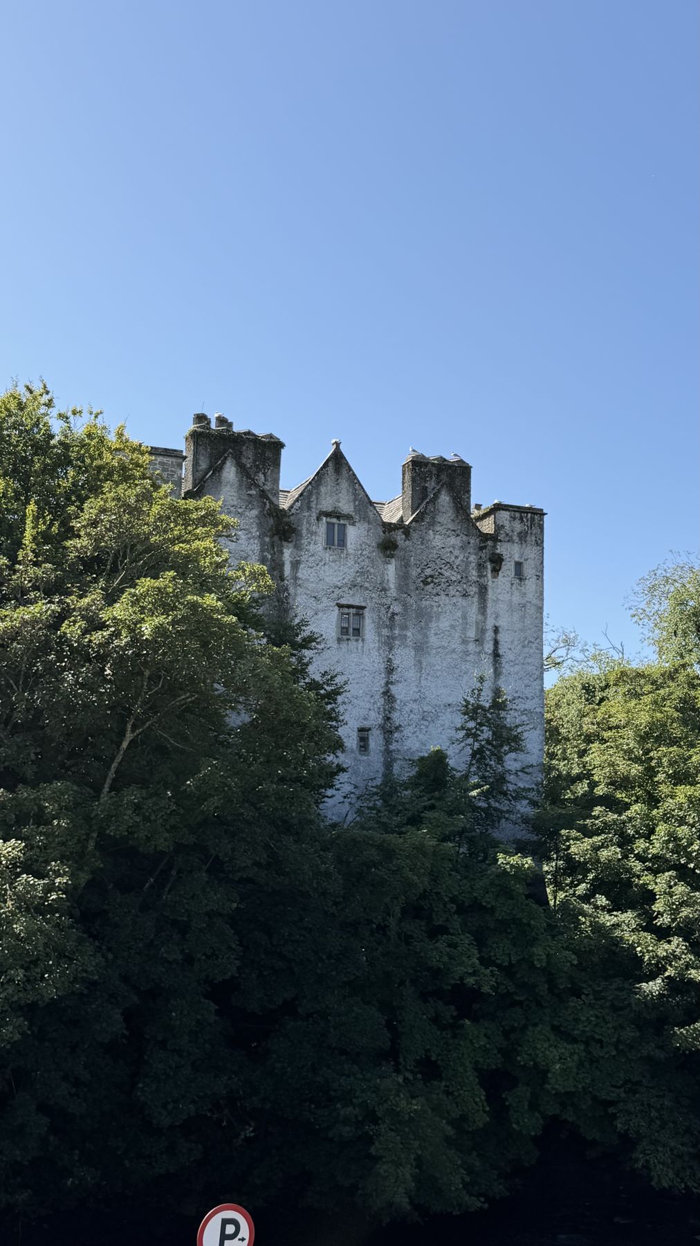 La torre del Castillo de Donegal entre los árboles