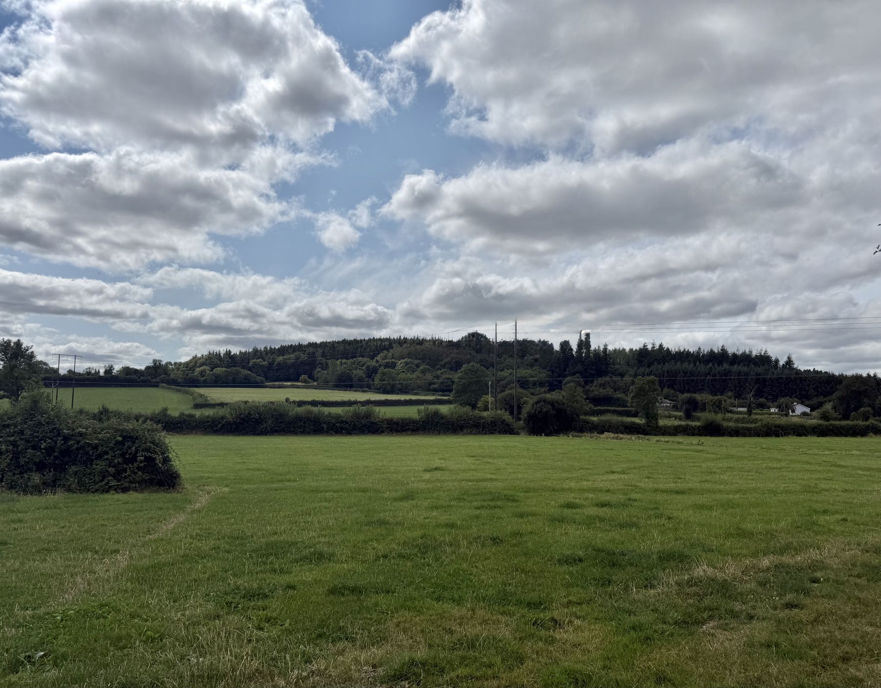Los campos que se extienden a los pies de la Colina de Allen, en el condado de Kildare