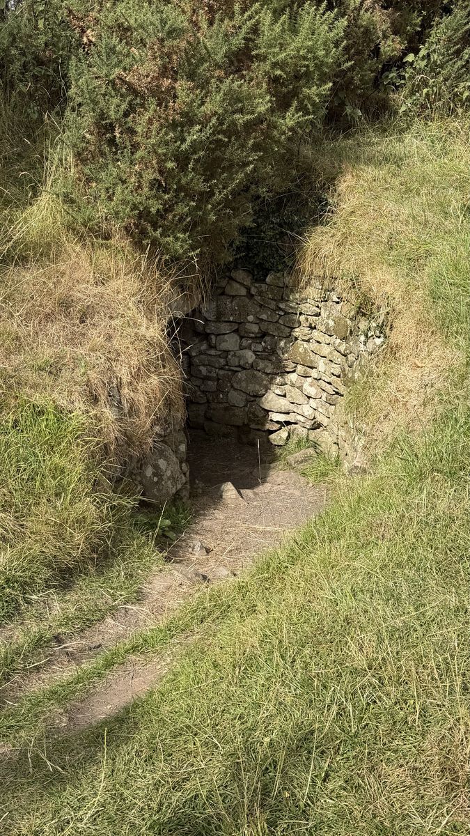 La entrada excavada de uno de los pasadizos de Dowth, medio oculta entre la hierba y los matorrales del túmulo
