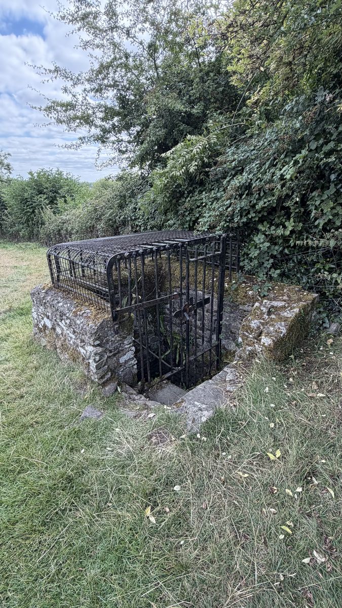 La jaula de hierro que cubre el pozo de acceso a la cámara de Dowth, instalada tras el saqueo del siglo XIX