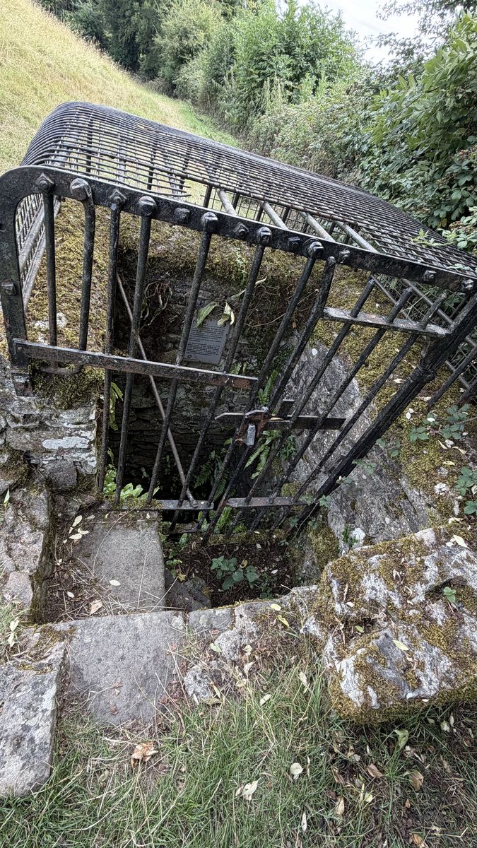 La verja cerrada con candado sobre los escalones de piedra que descienden hacia la cámara sellada de Dowth