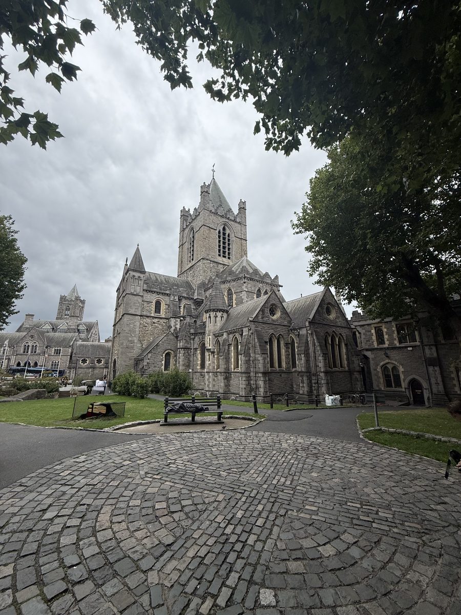 La Catedral de Christ Church en Dublín, vista desde el jardín conmemorativo y enmarcada por los árboles