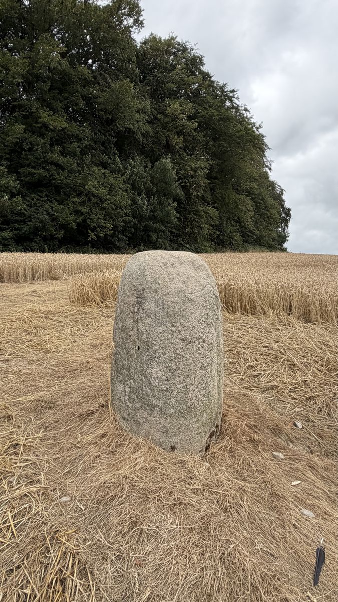 La piedra levantada de la Edad del Bronce que la tradición señala como el lugar de nacimiento de Cú Chulainn