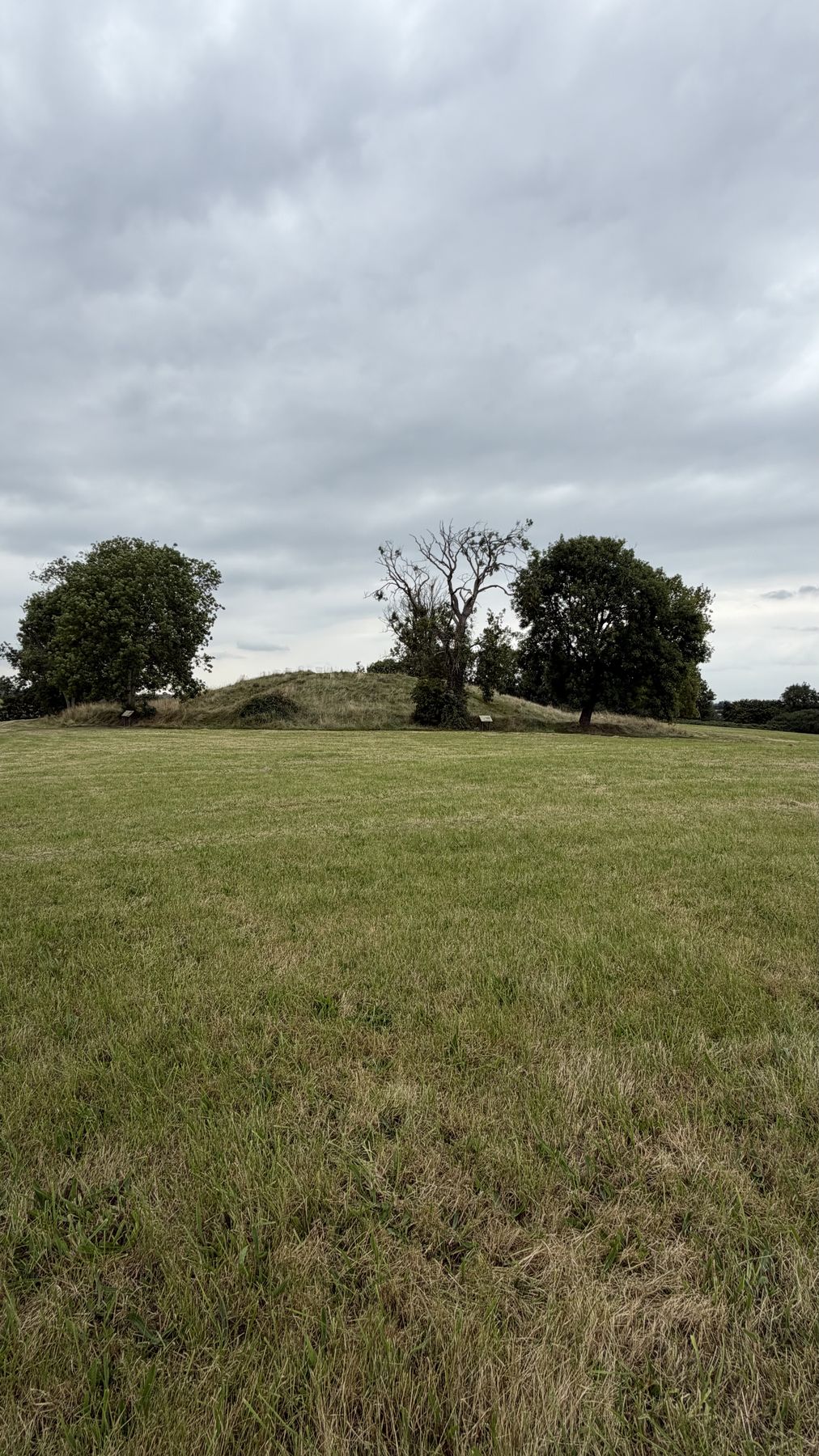 El campo que rodea el montículo de Emain Macha