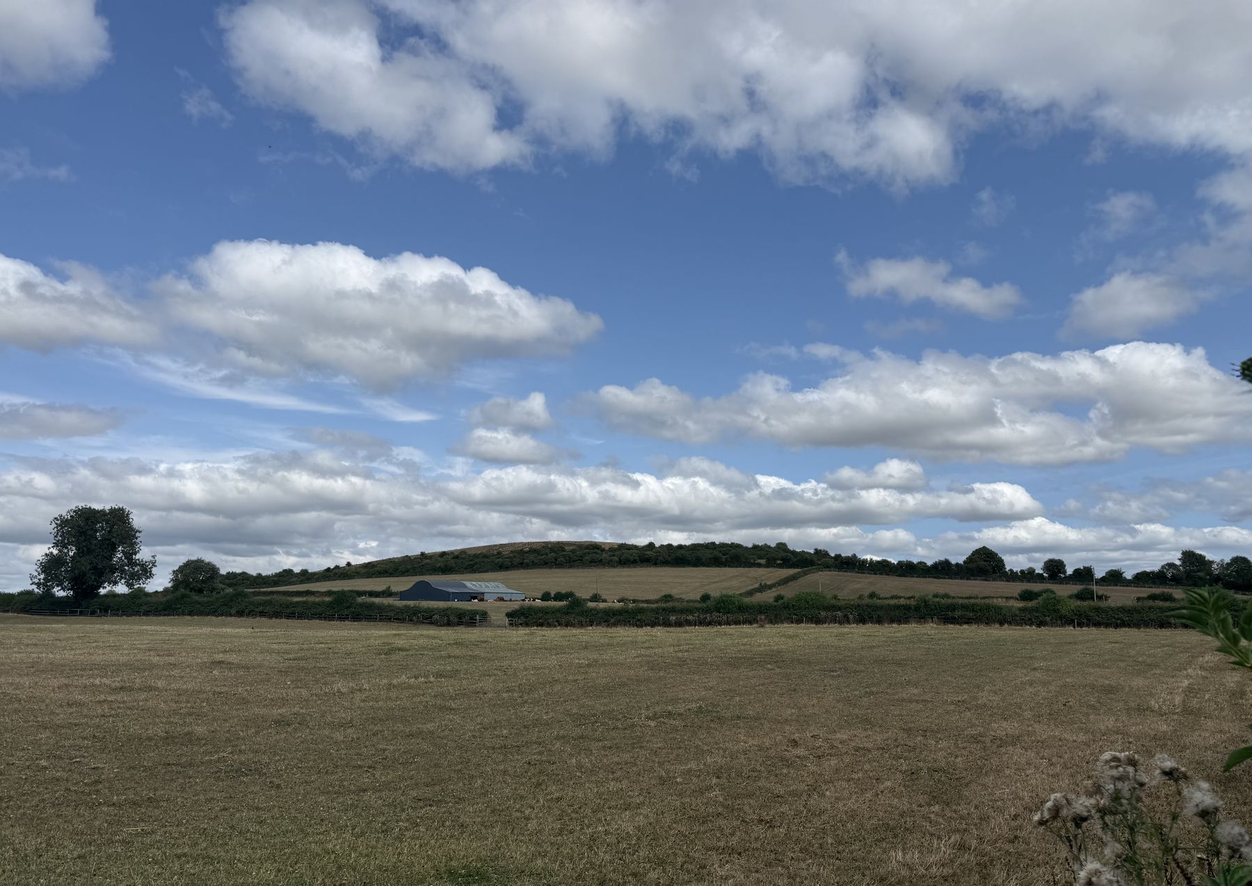 Los campos del Curragh que rodean la colina de Knockaulin, en el condado de Kildare