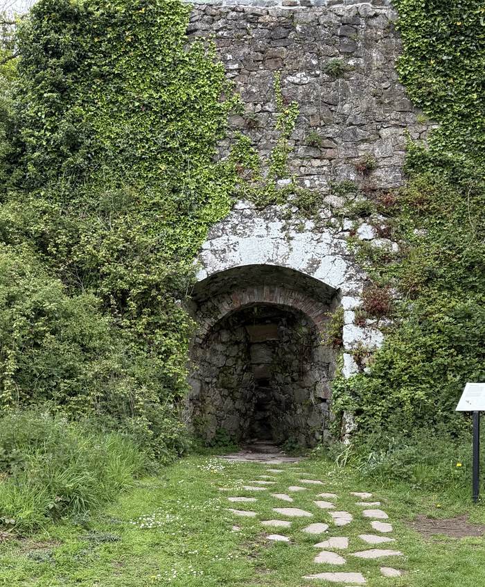 Ruinas junto a Lough Gur