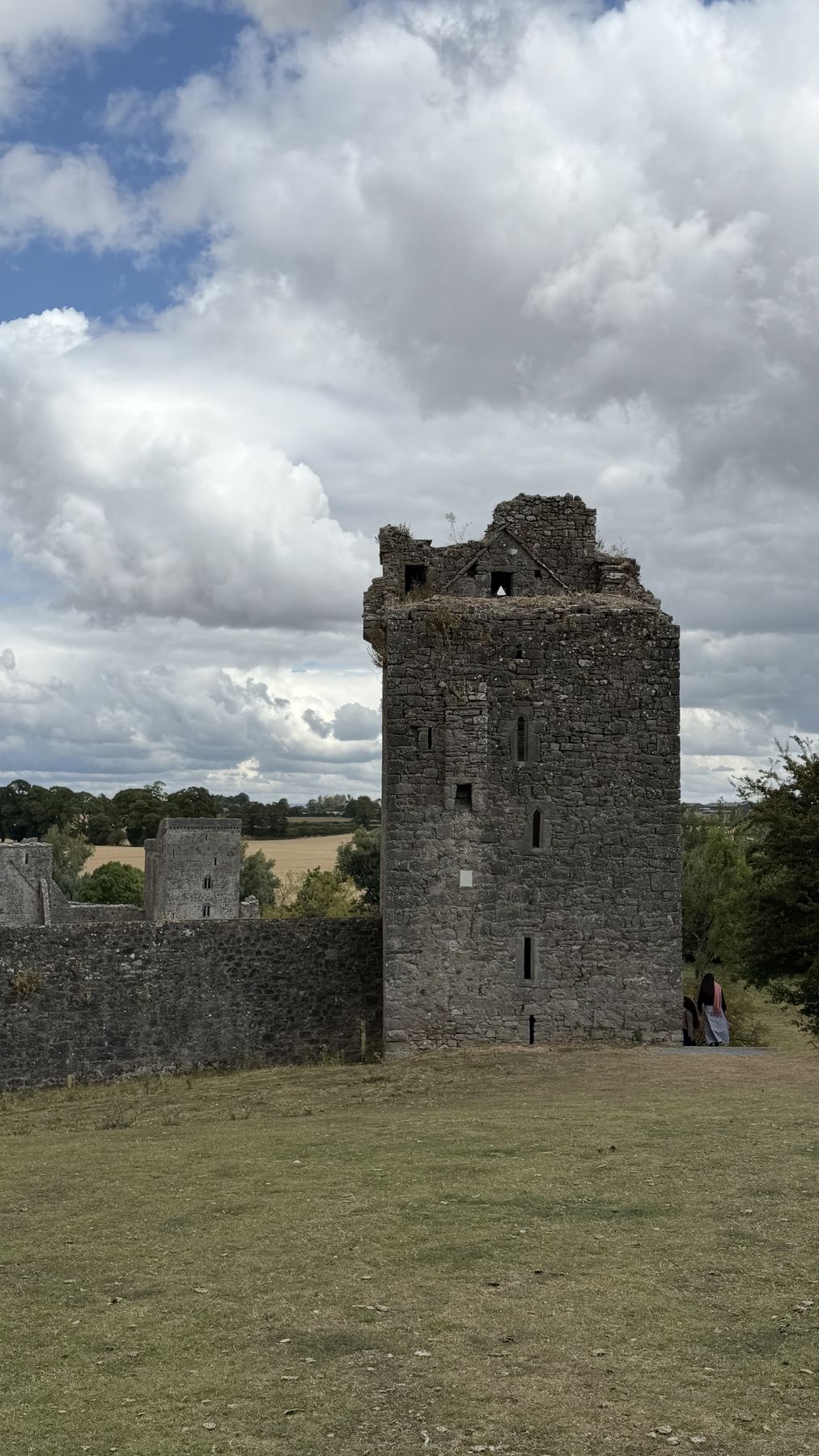 Una de las torres del Priorato de Kells junto a la muralla defensiva