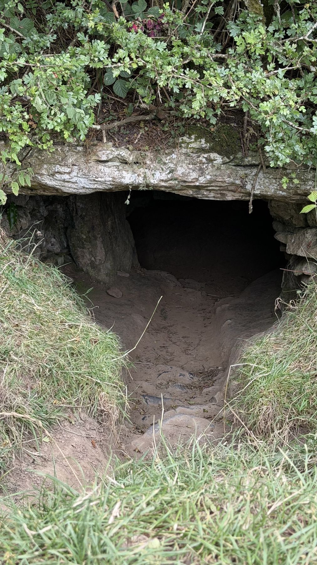 La boca de la cueva de Oweynagat abriéndose en la ladera
