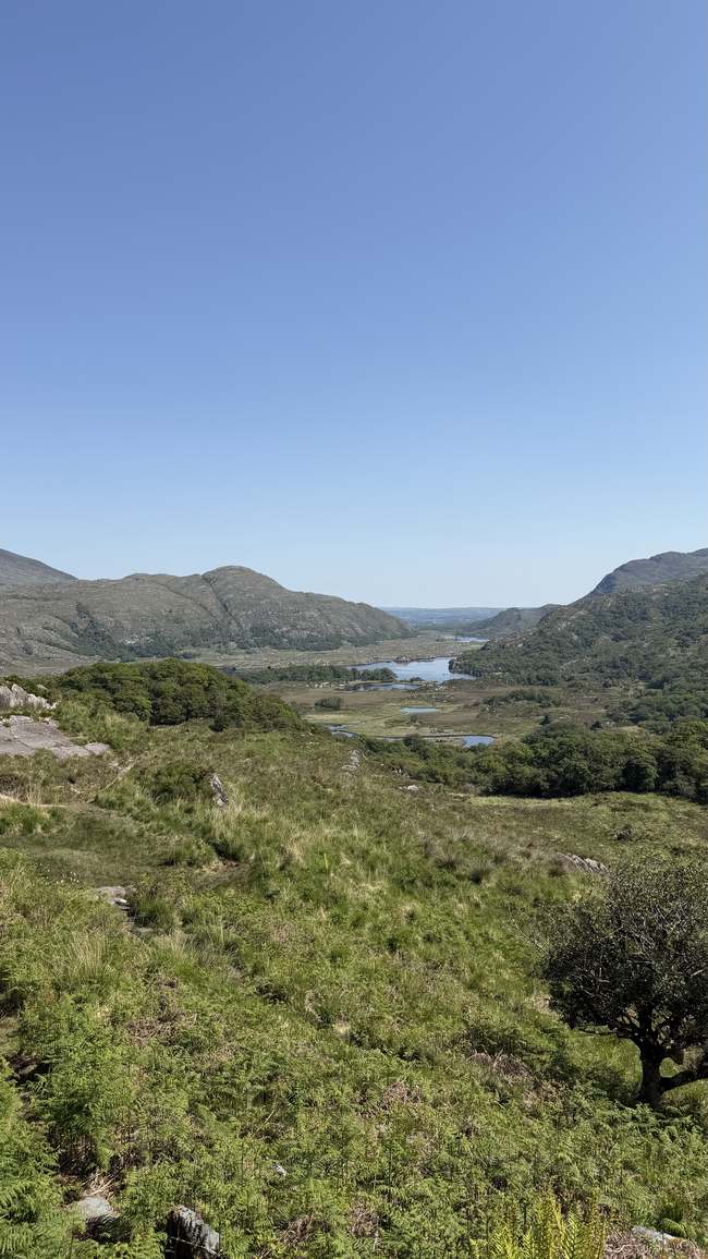 Vista panorámica de los lagos de Killarney desde Ladies View